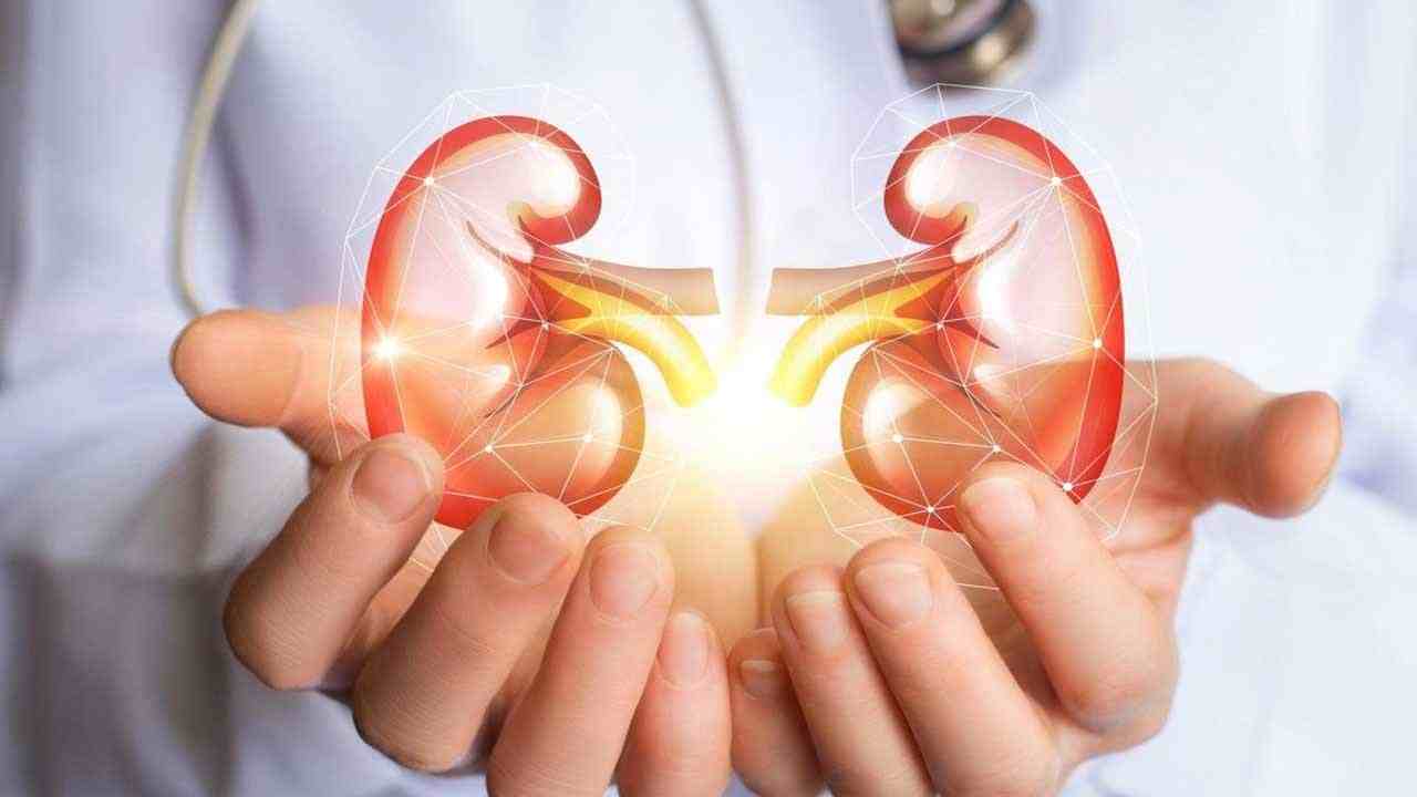 Kidney Health