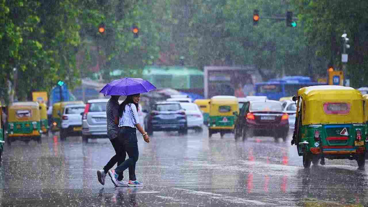 Rain Alert