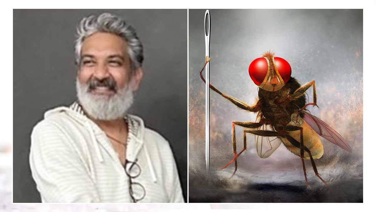 Rajamouli Eega