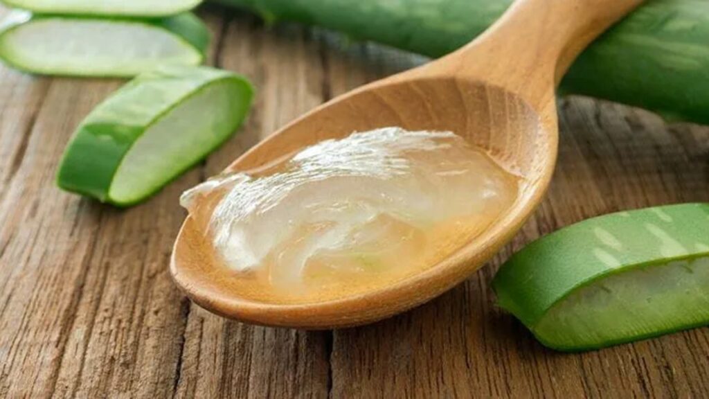 Aloe Vera