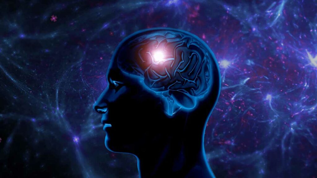 Brain Power