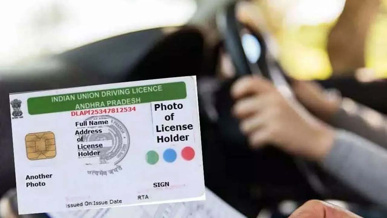 Driving License