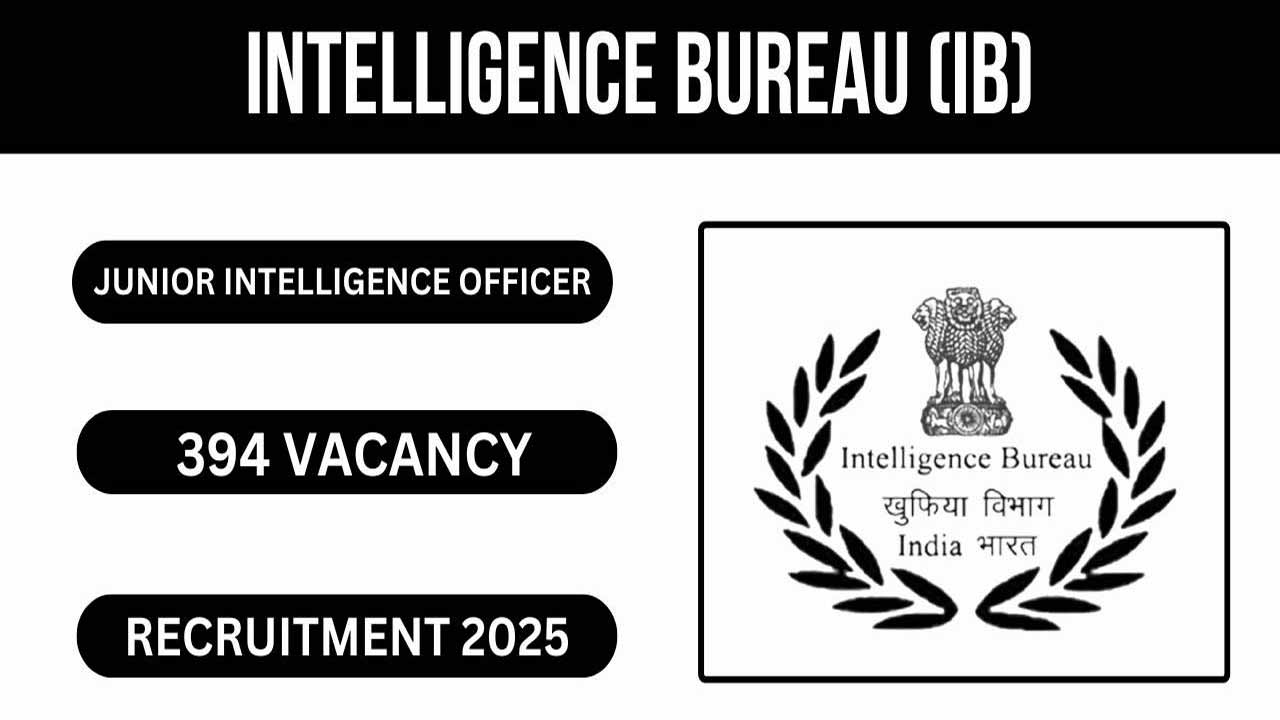 Ib Jobs