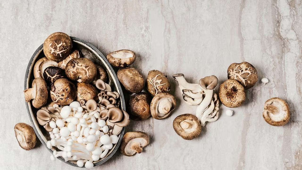 Mushrooms