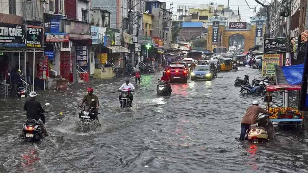 Tg Rains