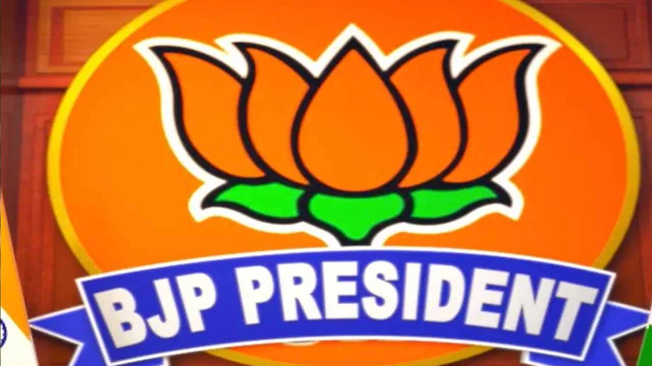 The selection of the new BJP president has been delayed further...because!