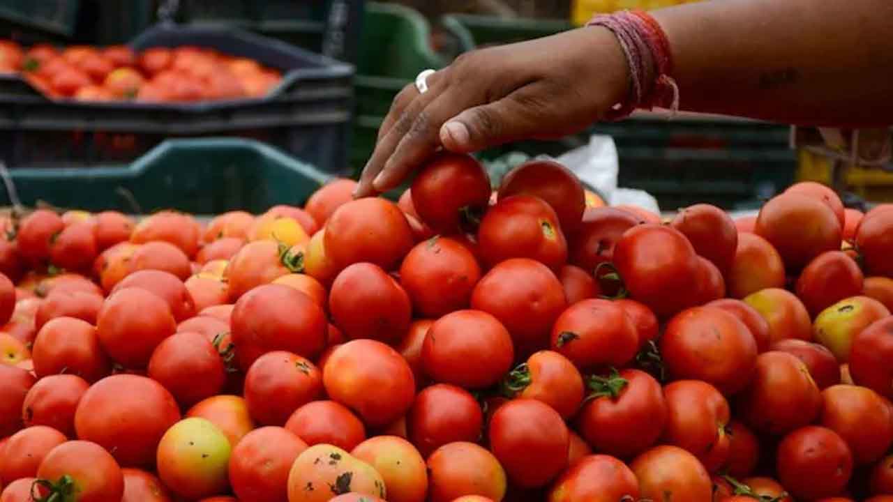 Tomato Price