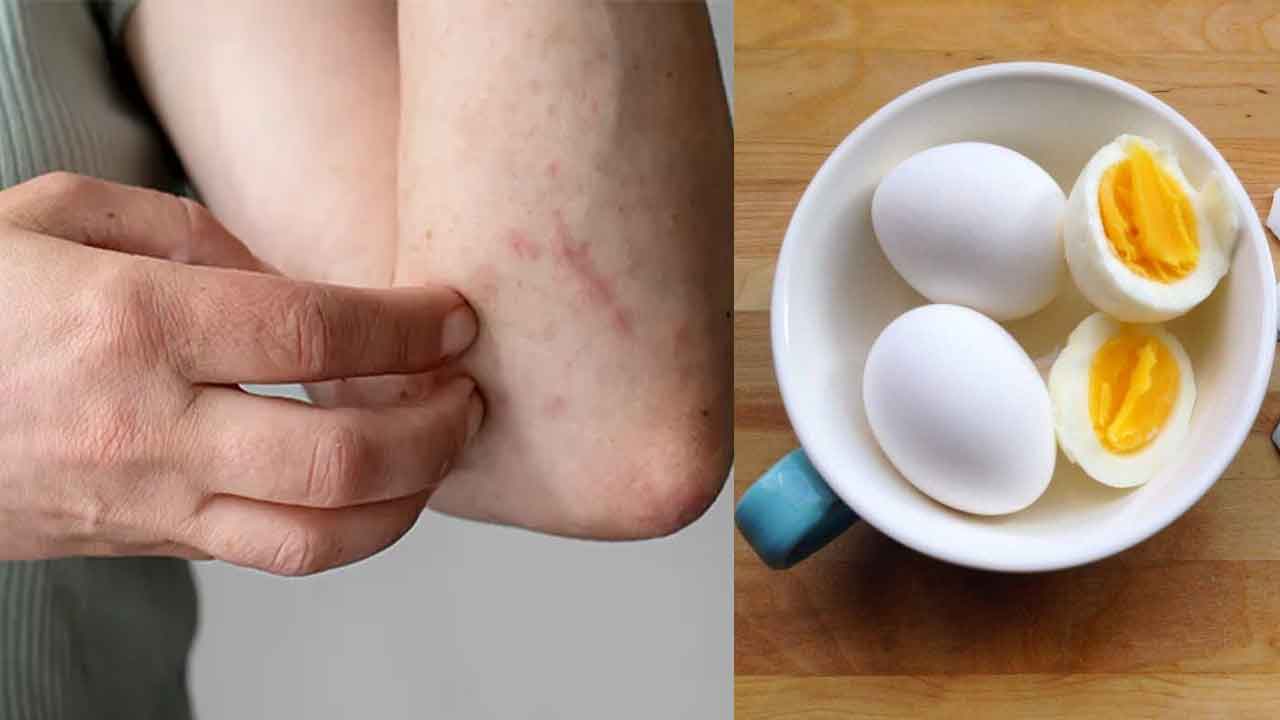 Boiled Egg