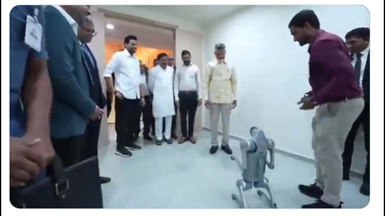 Cbn Robo