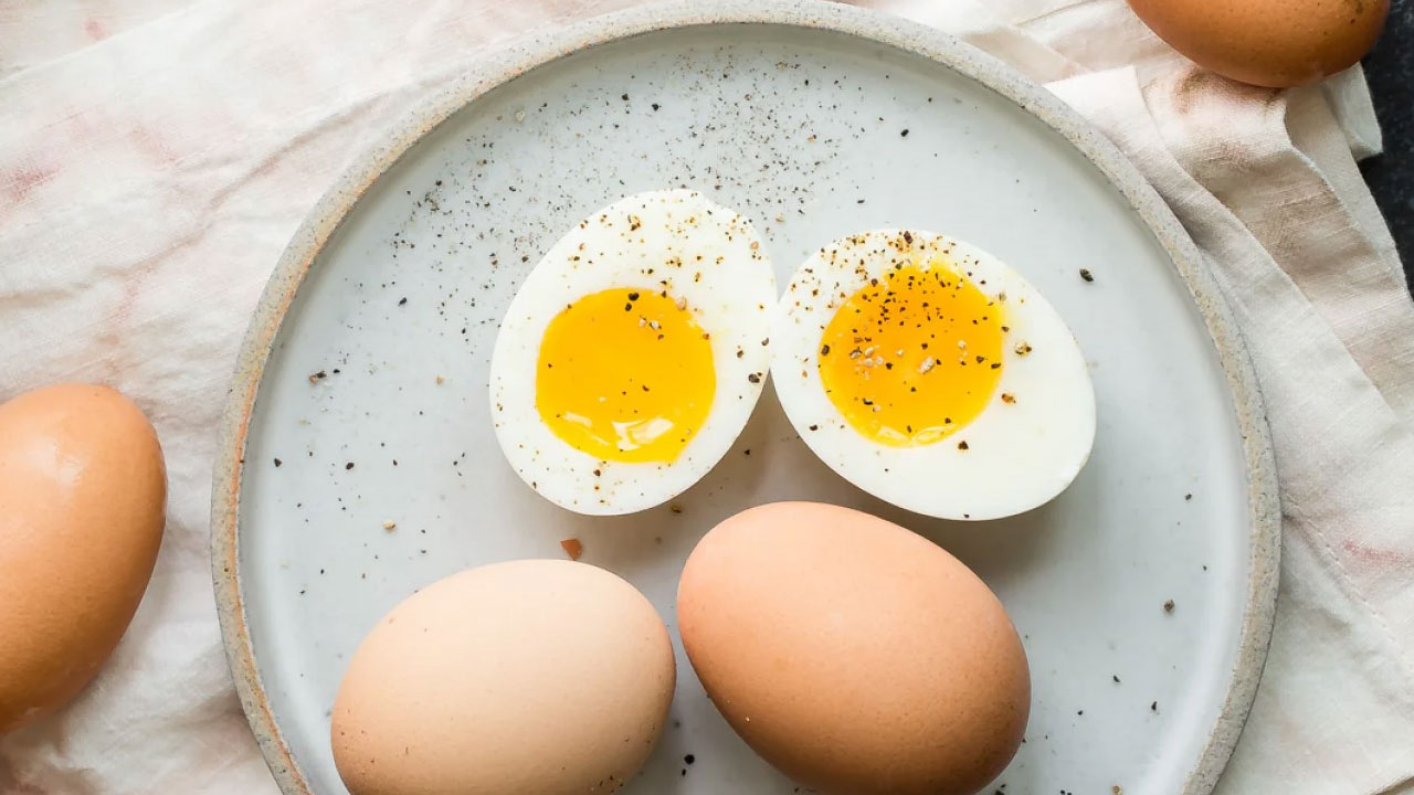Egg Yellow