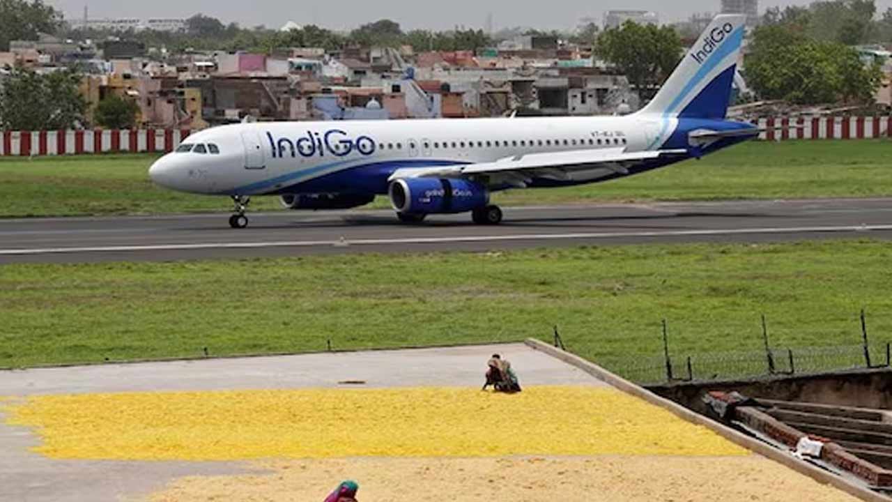 Indigo