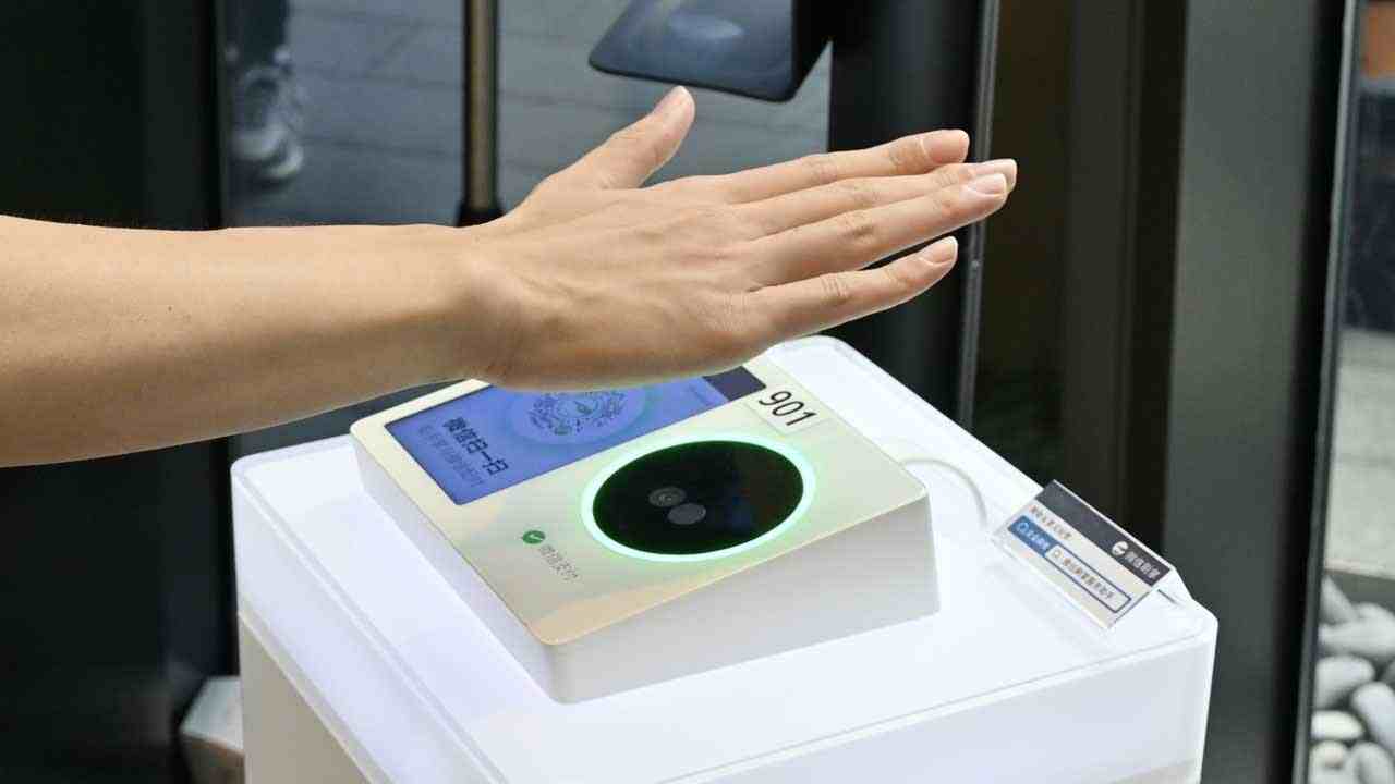 Palm Scan Payments