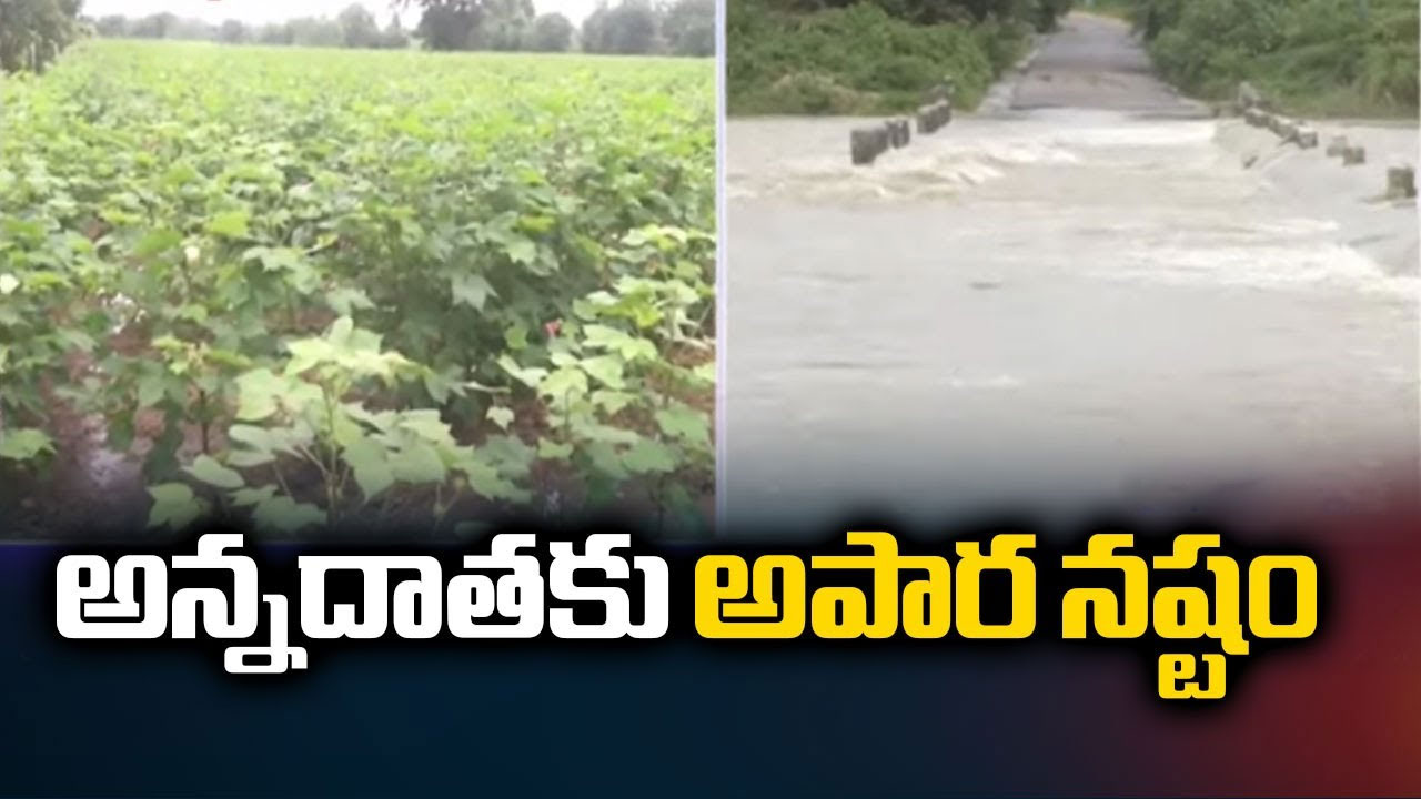 Rain Effect Telangana Farme