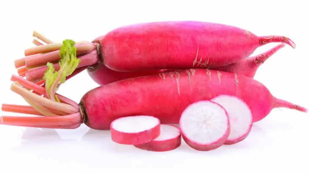 Health secrets...did you know that red radish has immense health benefits?