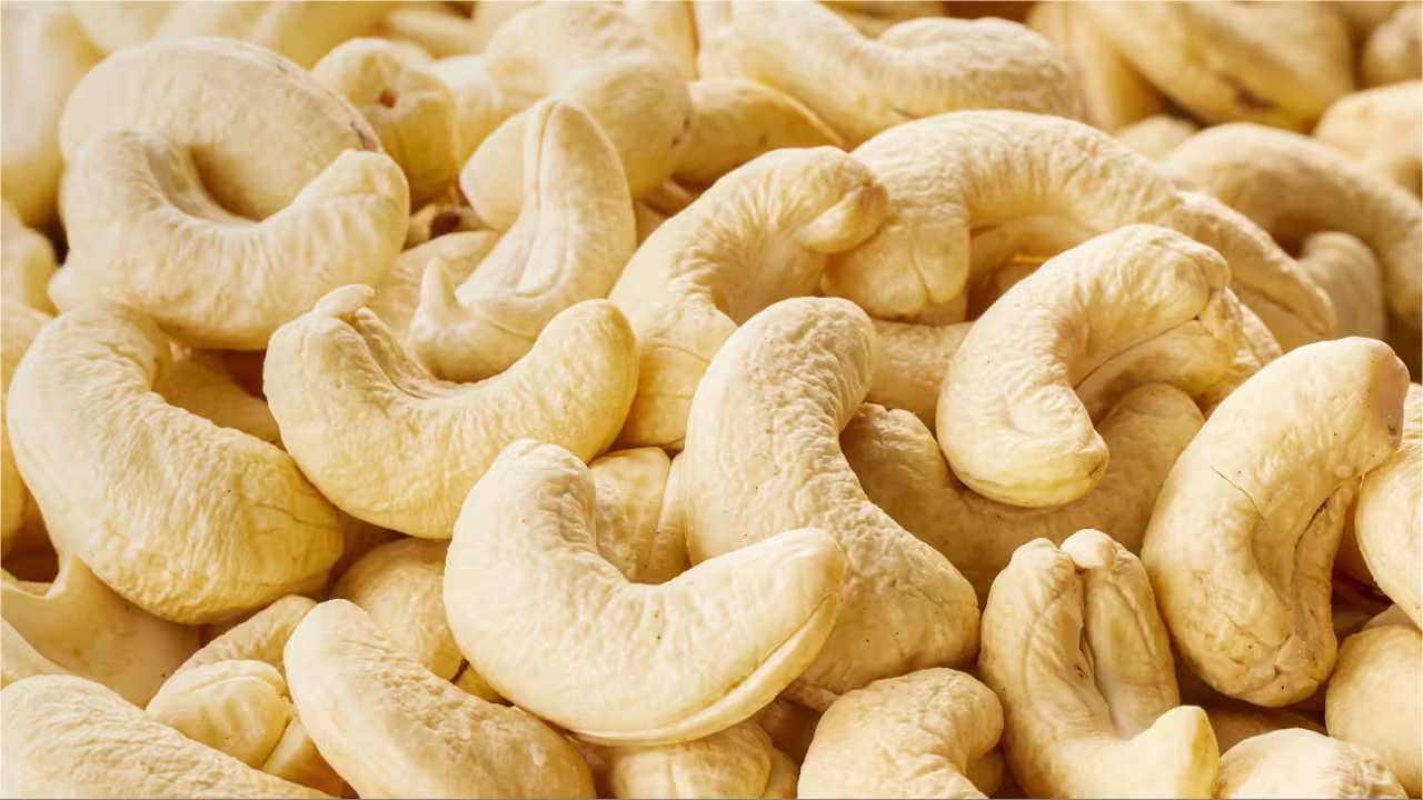 Cashew