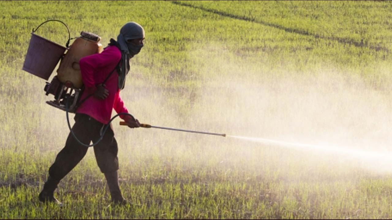 Fertilizer Farmers