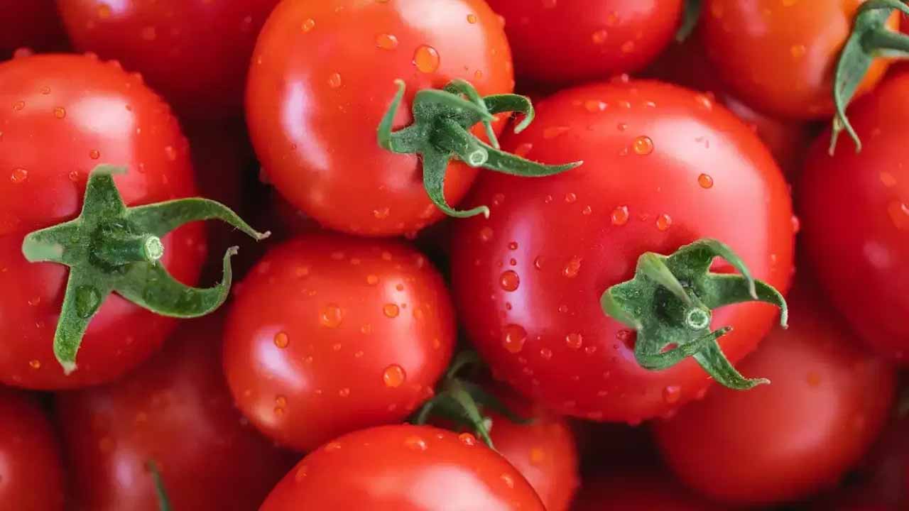 Is eating tomatoes every day good for your health? And how many should you eat per day?