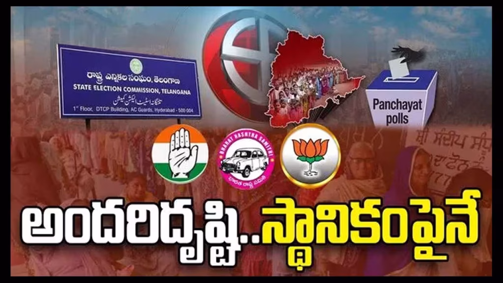 Local Body Elections Focus