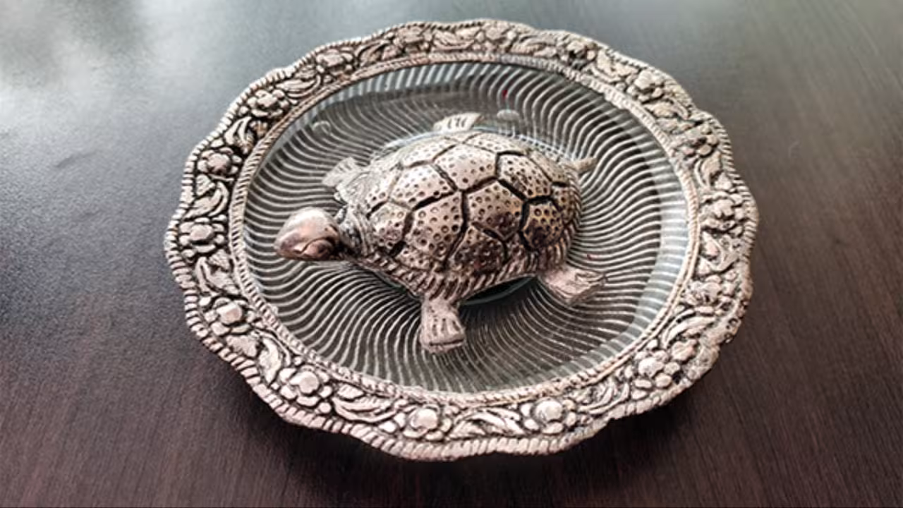 Tortoise