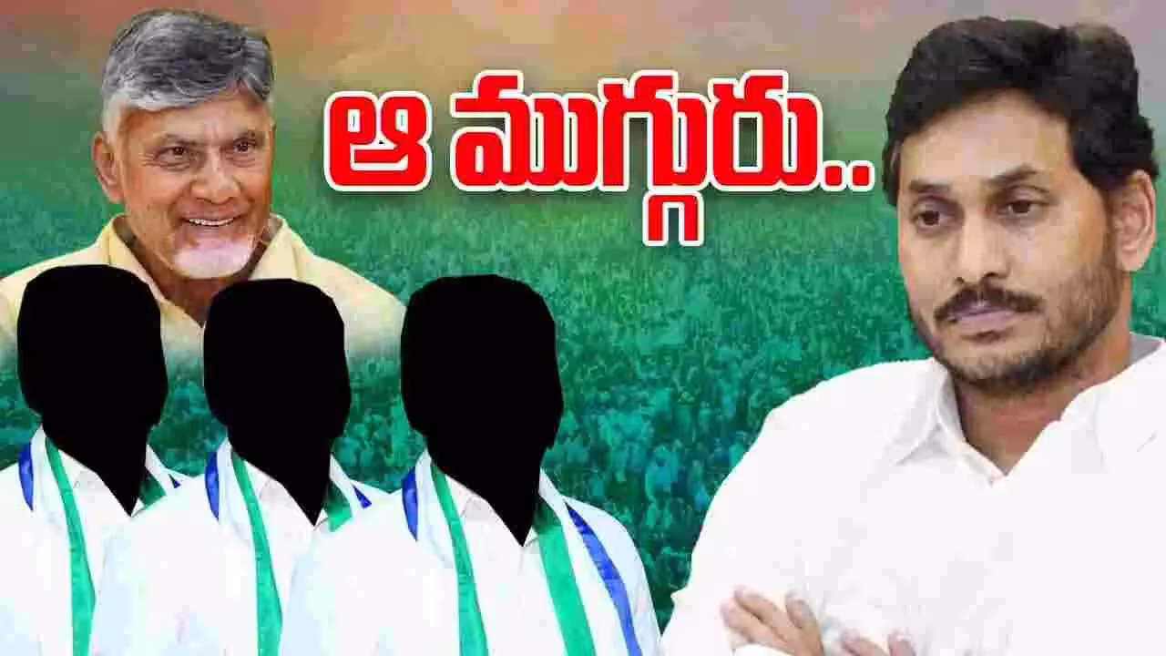 Ycp Mlcs