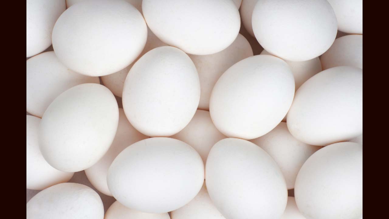 Ap Egg