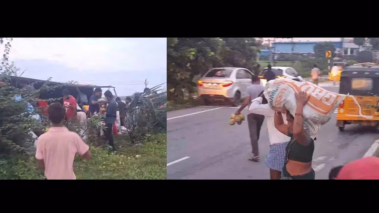 Coconut Truck Overturned