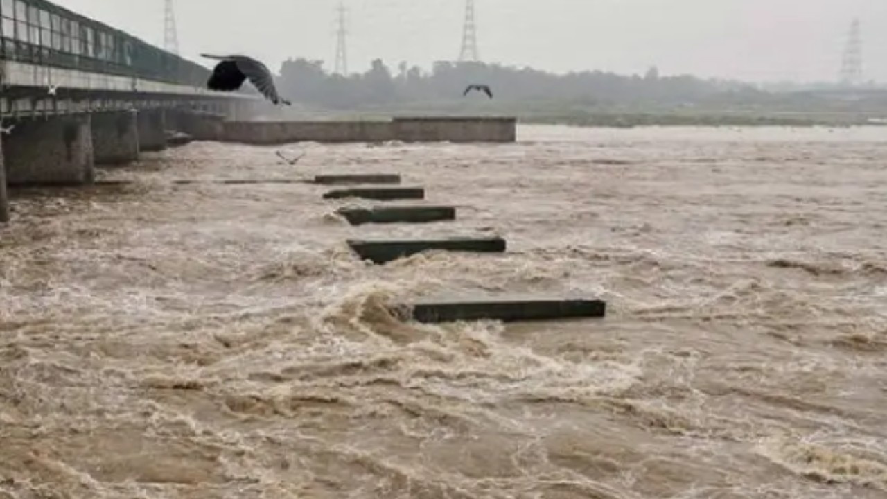 Yamuna River Levels