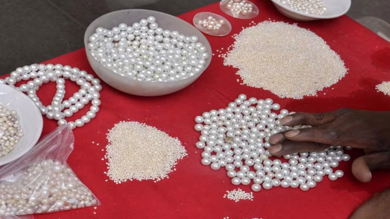 Hyderabad Pearls: హైదరాబాద్ ముత్యాలకు జీఐ ట్యాగ్ గుర్తింపు కోసం ప్రయత్నాలు! Hyderabad Pearls