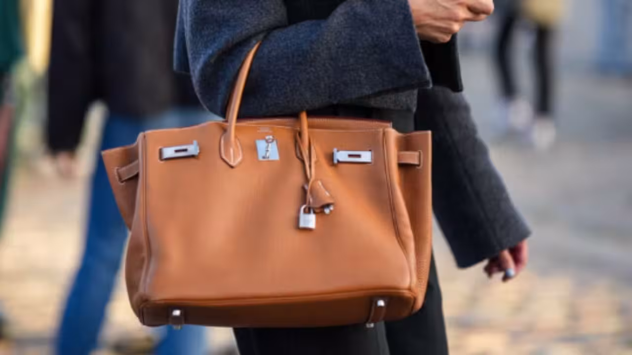 Birkin Bag: ఈ కంపెనీ బ్యాగ్ తాకట్టు పెట్టి రుణం పొందొచ్చు.. ప్రాసెస్ ఇదే! Birkin Bag