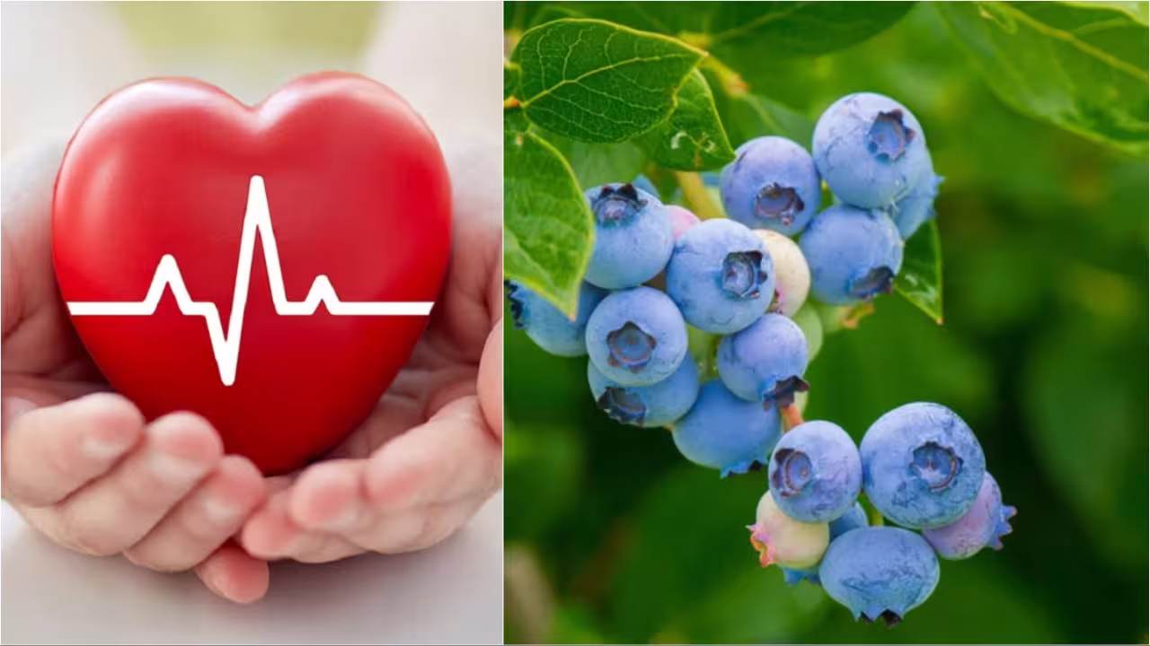 Food For Heart Health: గుండె జబ్బులు రాకుండా ఉండాలంటే ఎలాంటి పదార్థాలు తినాలో మీకు తెలుసా? Food For Heart Health