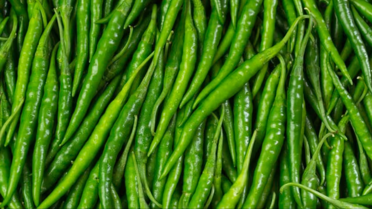 Green Chilie