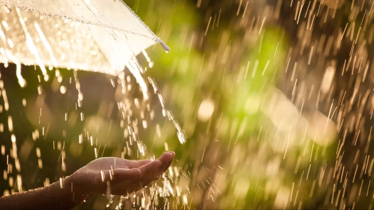 Rain Water