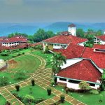 CAT 2025 Admit Card: Download Here!