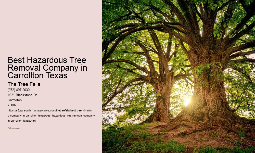 Best Hazardous Tree Removal Company in Carrollton Texas
