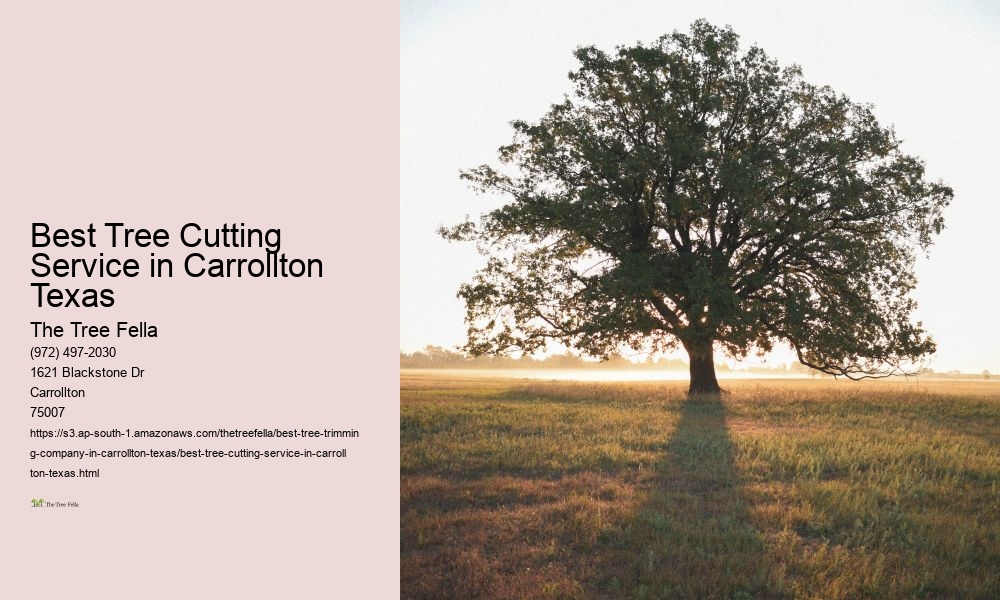 Best Tree Cutting Service in Carrollton Texas