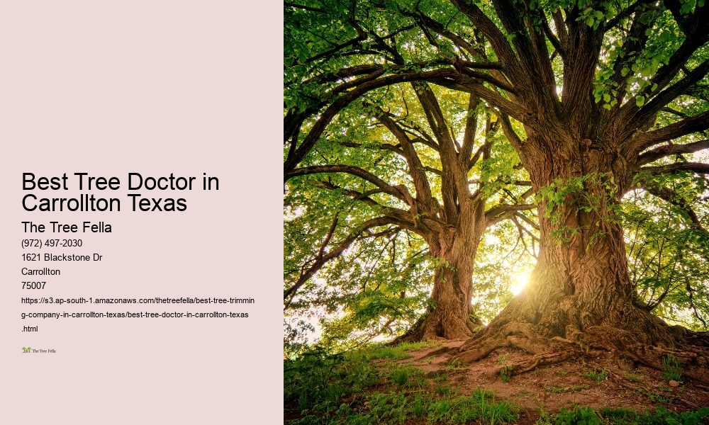 Best Tree Doctor in Carrollton Texas