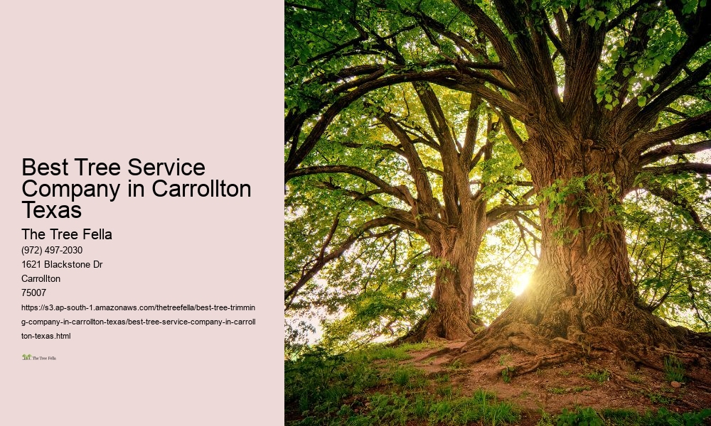 Best Tree Service Company in Carrollton Texas