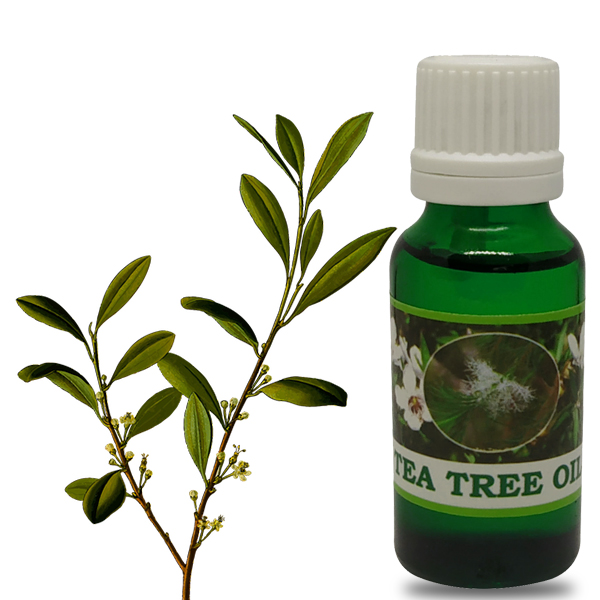 SM Classy Nilgiris Tea Tree Oil 