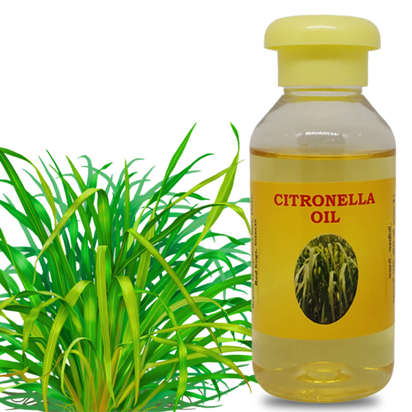 SM Classy Nilgiris Citronella Oil 