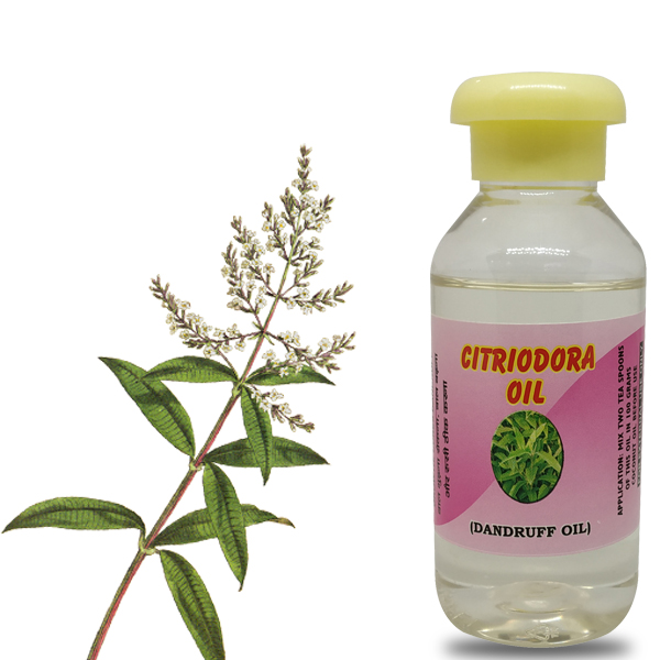Nilgiris Citriodora Oil - 60ml