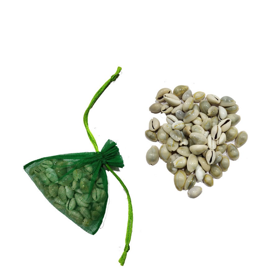 Chovi / Seashells (Brown & White)