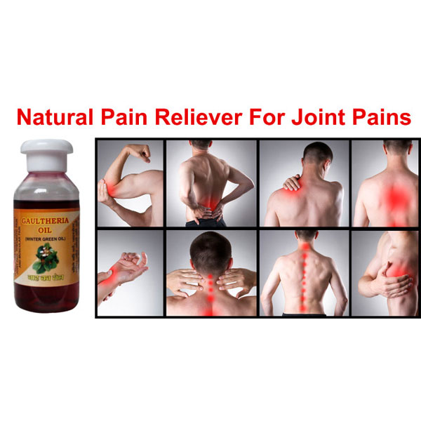 SM Classy Nilgiris Winter Green Oil (Gaultheria Oil) Joint Pain Oil 