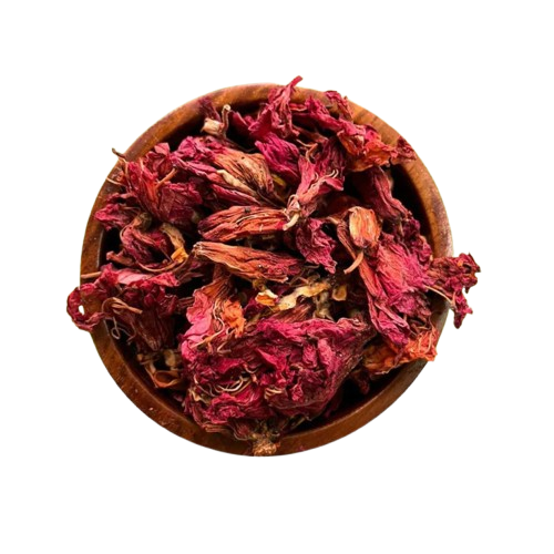 Aaraa Hibiscus Flower - Indian