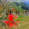 Nakshatra Resort | Camping in Rishikesh profile image