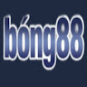 bong88viet com profile image