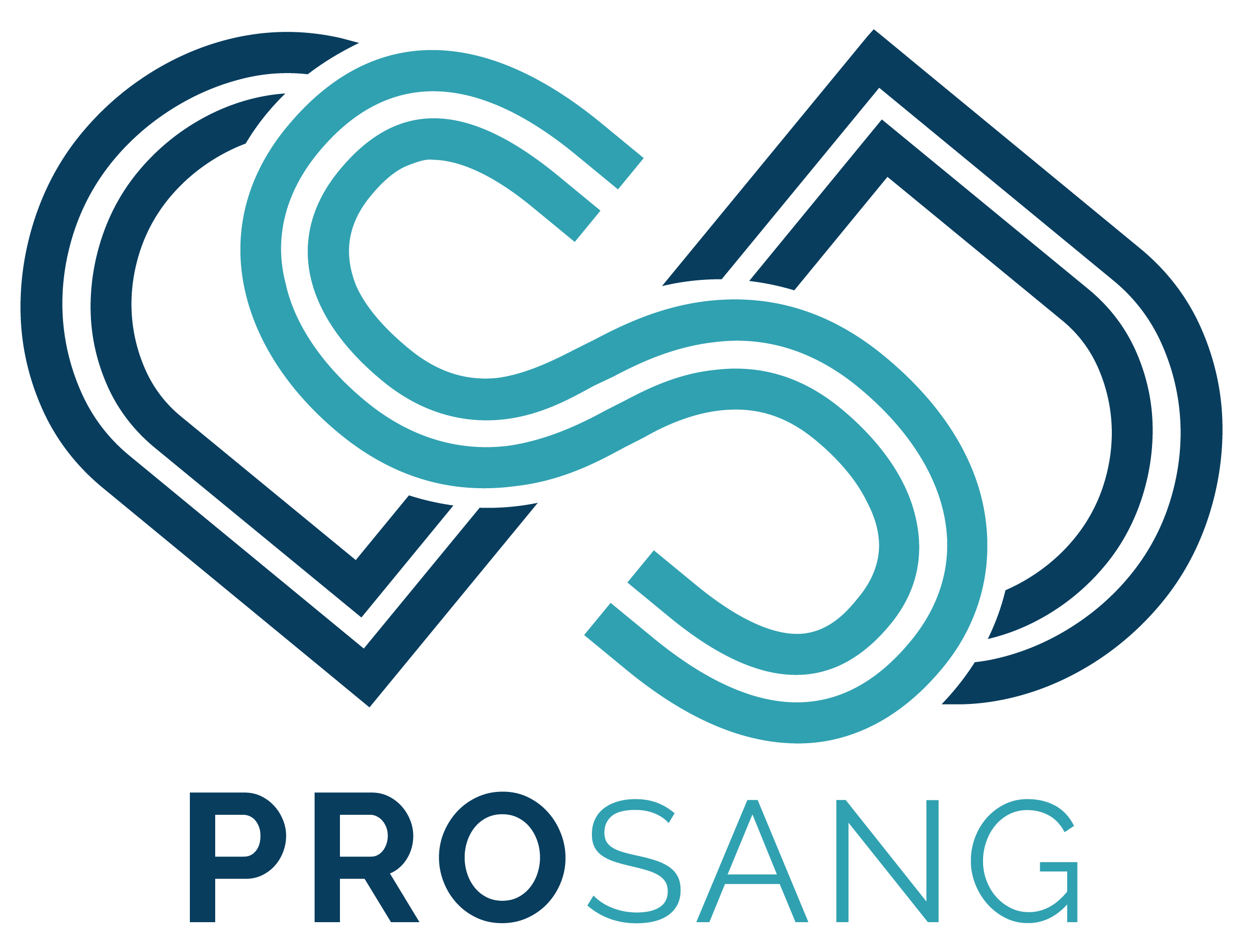 Prosang 2.0 profile image