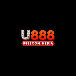 U888com media profile image