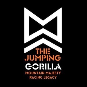 THE JUMPING GORILLA profile image