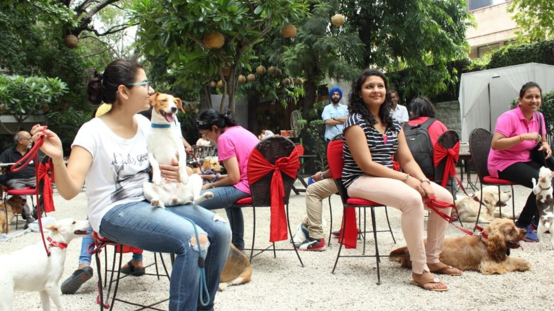 Dog Musical at Pet Fed Mumbai 2020 Tickets by Pet Fed, Sunday, January