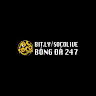 Socolive38 in profile image